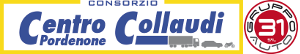 logo centro collaudi e gruppo 31